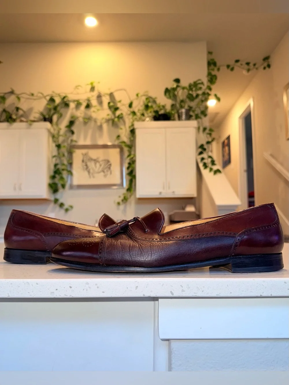 Mezlan Havana Men's Tassel Loafers in Burgundy
